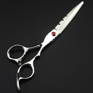 Economy hair scissors